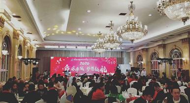 mg冰球突破2020年新春团拜会盛大举...